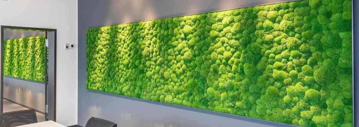 <strong><em>En grøn væg uden vedligeholdelse​​​​​​​</em></strong>