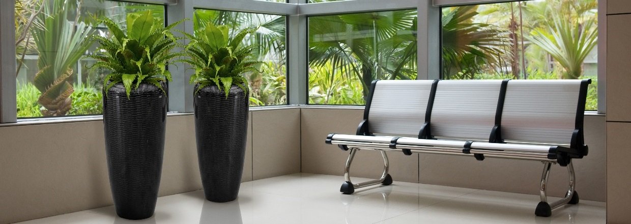 <em><strong>FloraDin - Specialister i kontorbeplantning og planteservice<br><em><strong>til erhverv og institutioner</strong></em></strong></em>