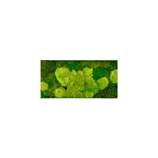 Hvid 100x50 cm 50% pudemos 50% skovmos
