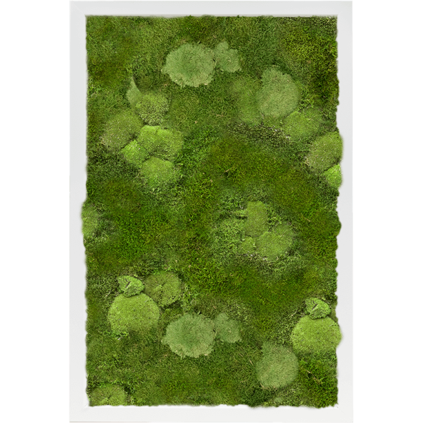 Hvid 40x60 cm 30% pudemos 70% skovmos